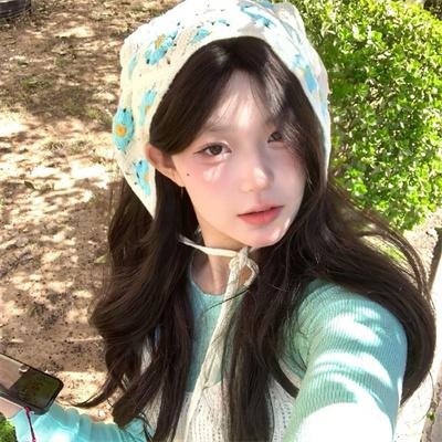 鸽之翼 封面