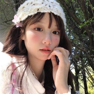 维京命运 封面